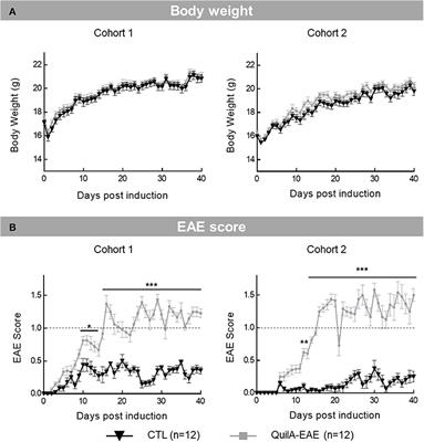 In-Depth Characterization of Somatic and Orofacial Sensitive Dysfunctions and Interfering-Symptoms in a Relapsing-Remitting Experimental Autoimmune Encephalomyelitis Mouse Model